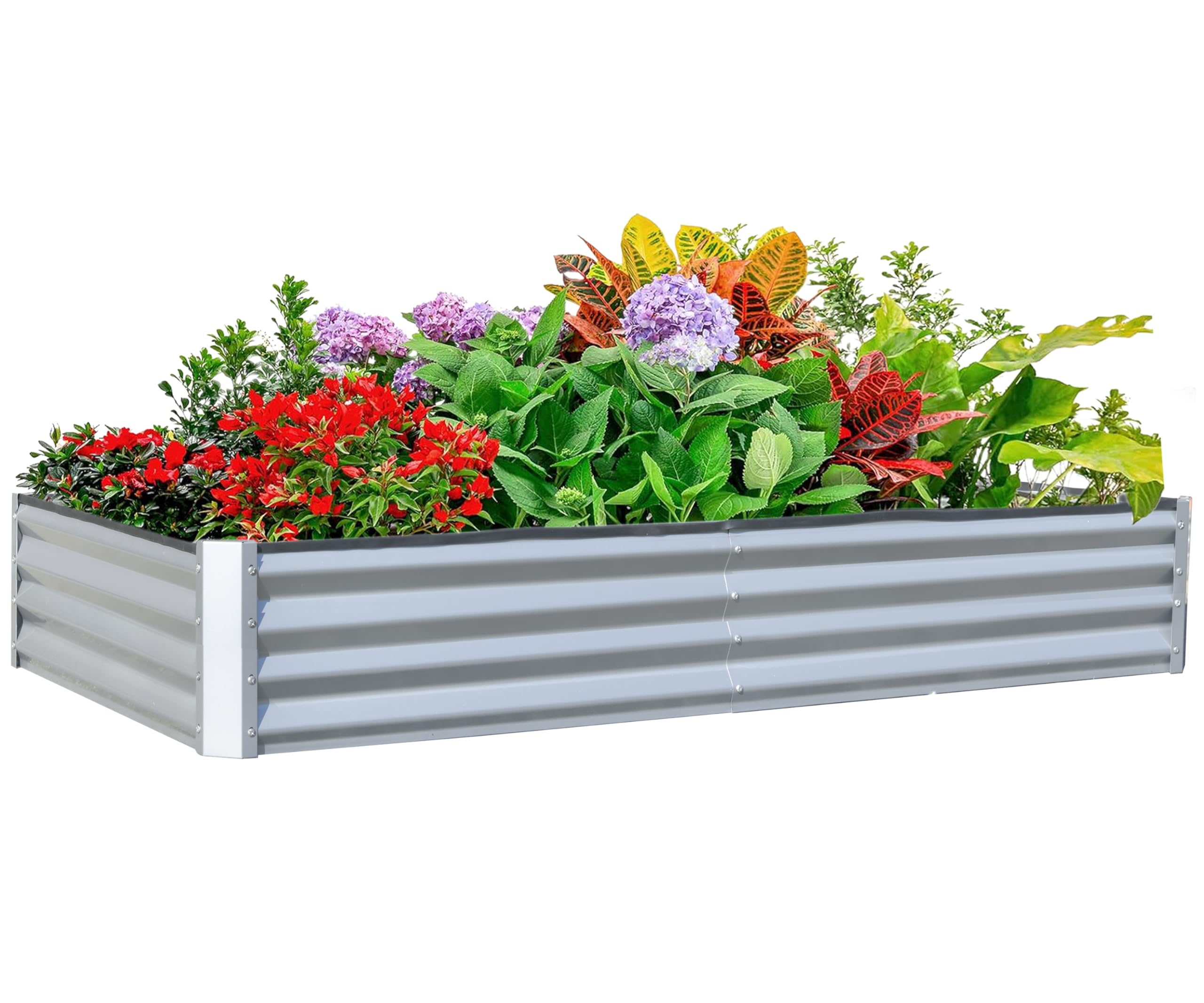 Planter Raised Metal - Kotak Tanam Terangkat Galvanis 6x3x1 kaki,