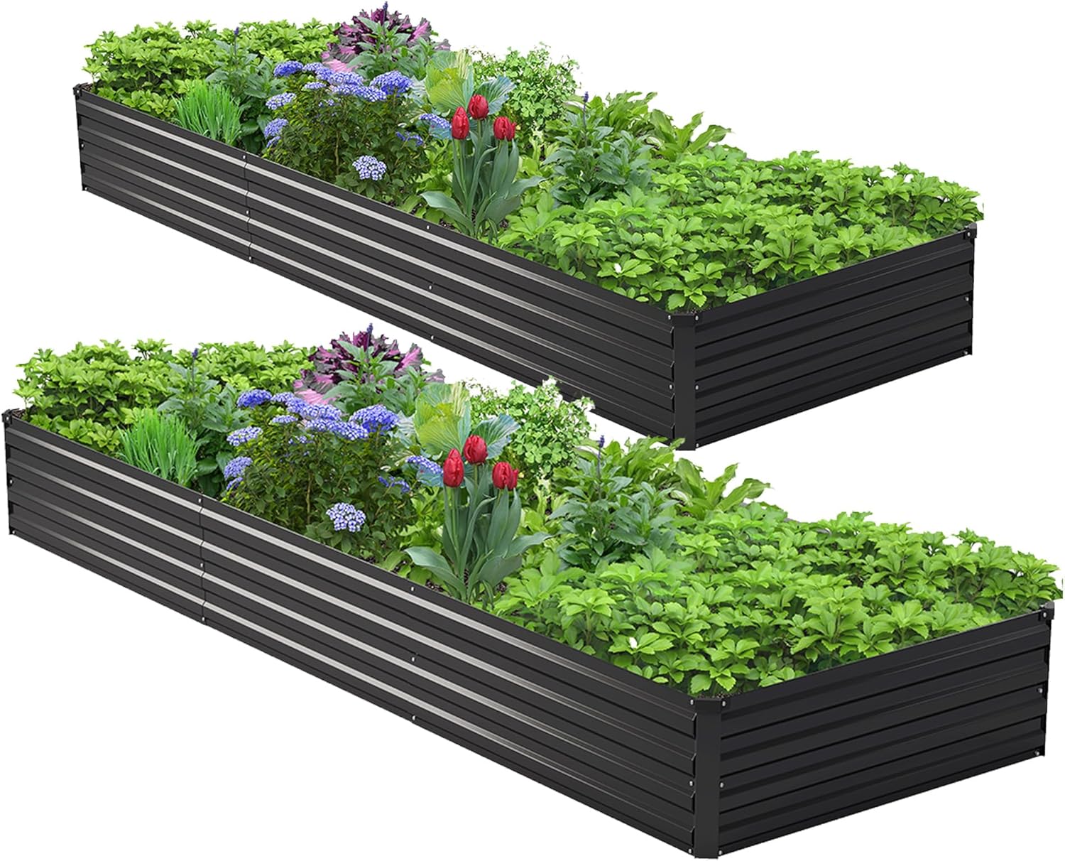 Planter Raised Metal - 2PCS 10x3x1ft Kit Tempat Tanam Terangkat