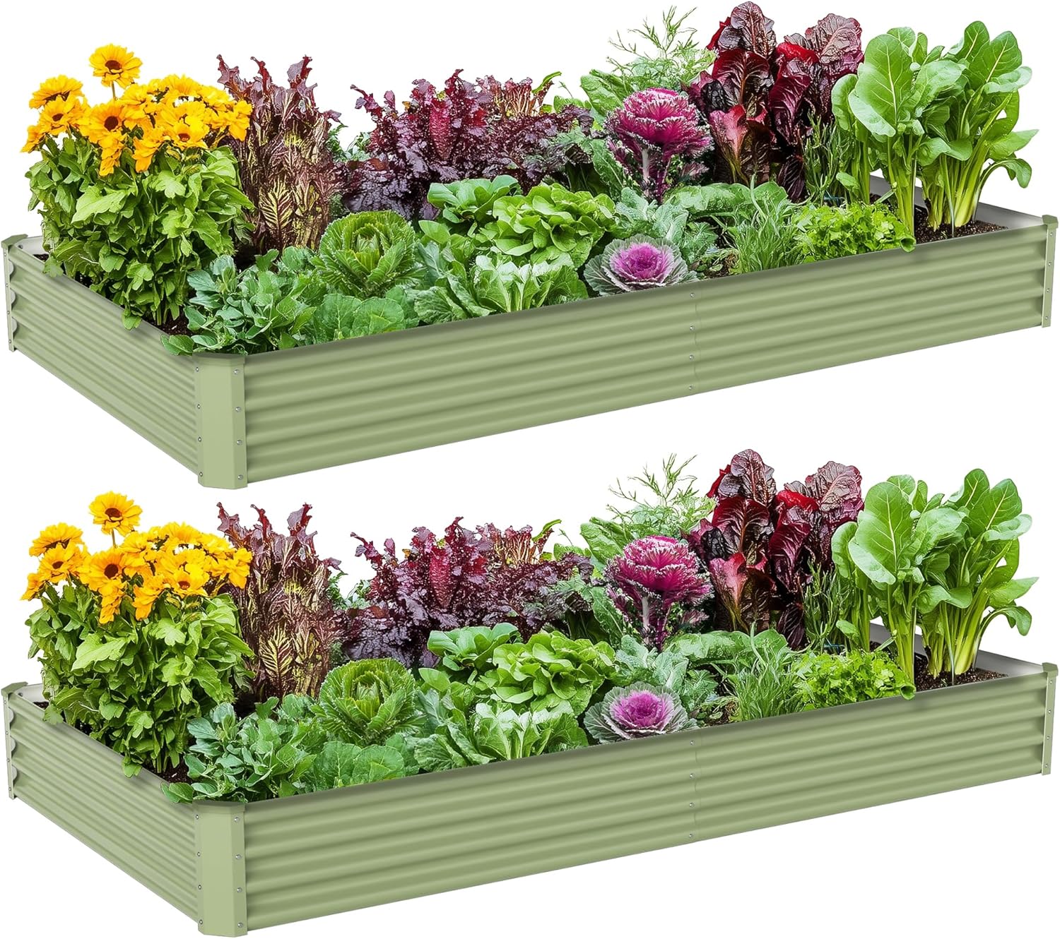Planter Raised Metal - Kotak Tanam Sayuran Luar Ruangan dari