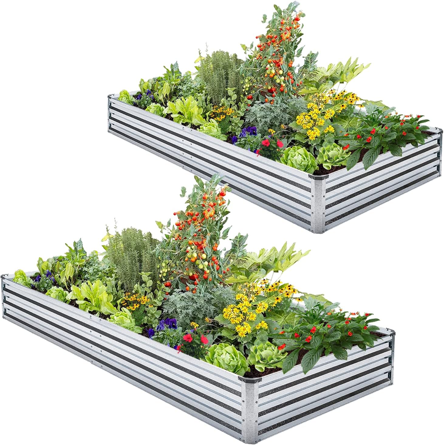2-Pack Galvanized Raised Garde - Planter Raised Metal ulasan dan harga