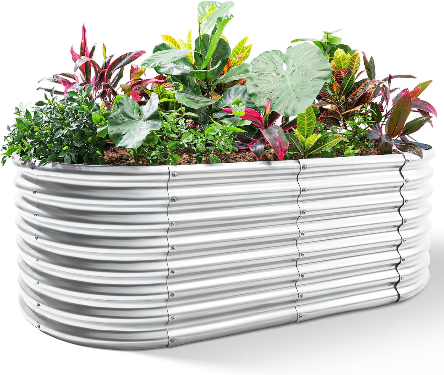 Kotak Tanam Galvanis, Ukuran 8 - Planter Raised Metal ulasan dan harga