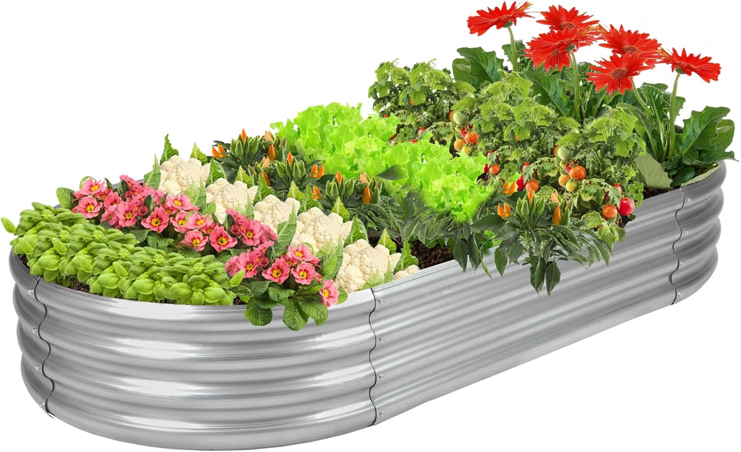 Kotak Tanam Galvanis Bersertif - Planter Raised Metal ulasan dan harga